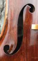 Phoenix II Cello